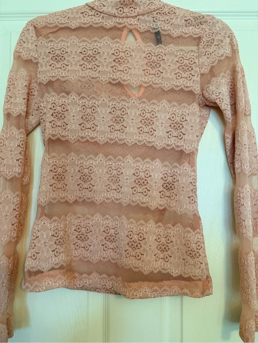 Love Culture Sheer Lace Long Sleeve Top in Blush